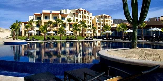 Resort pool with palm trees and cactus