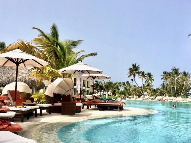 Sunny resort pool with loungers and palm trees