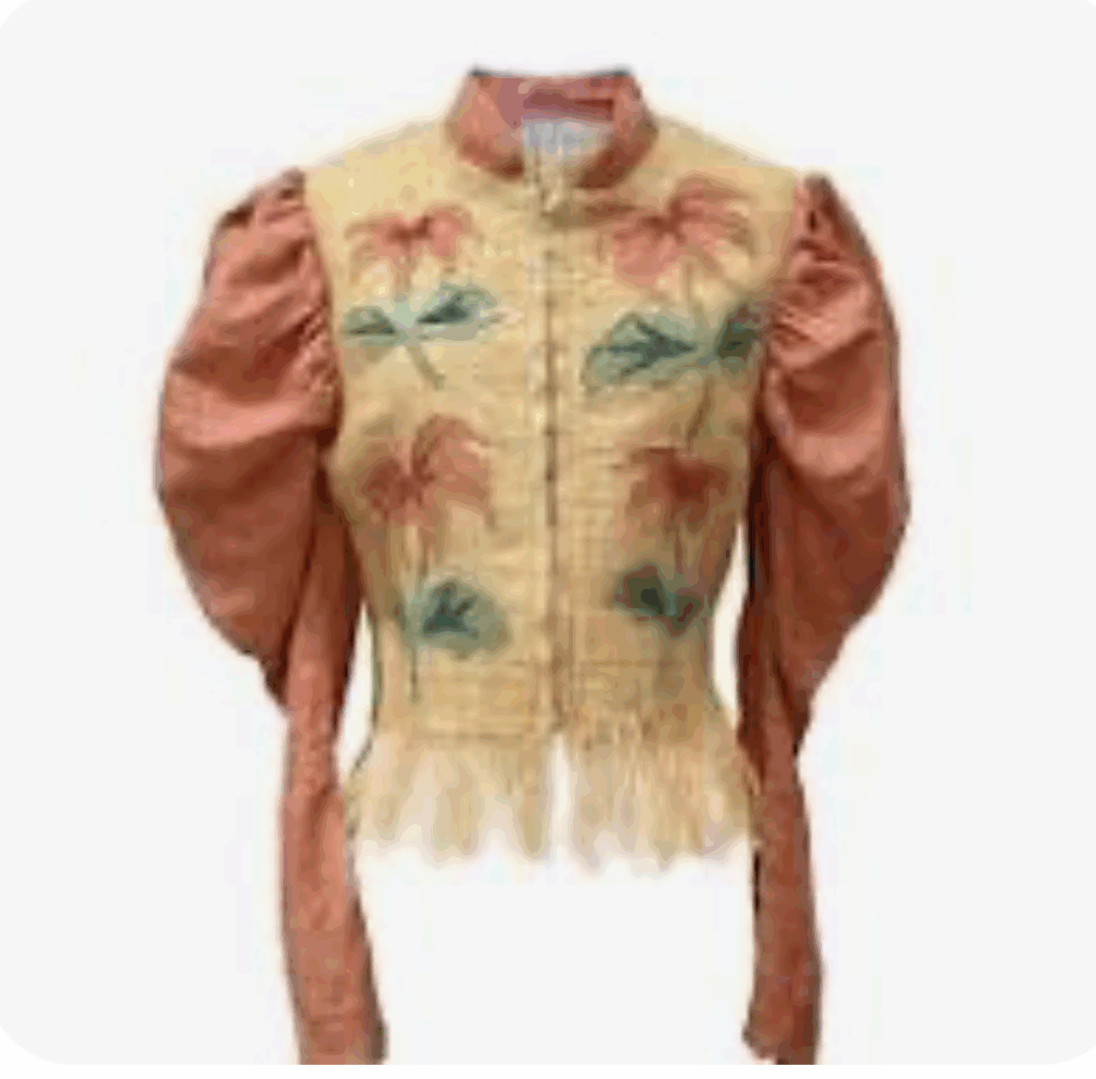 Vintage embroidered jacket with puffed sleeves