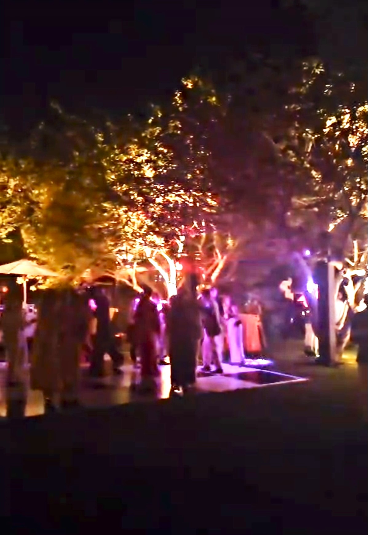 People gathered under illuminated trees at night